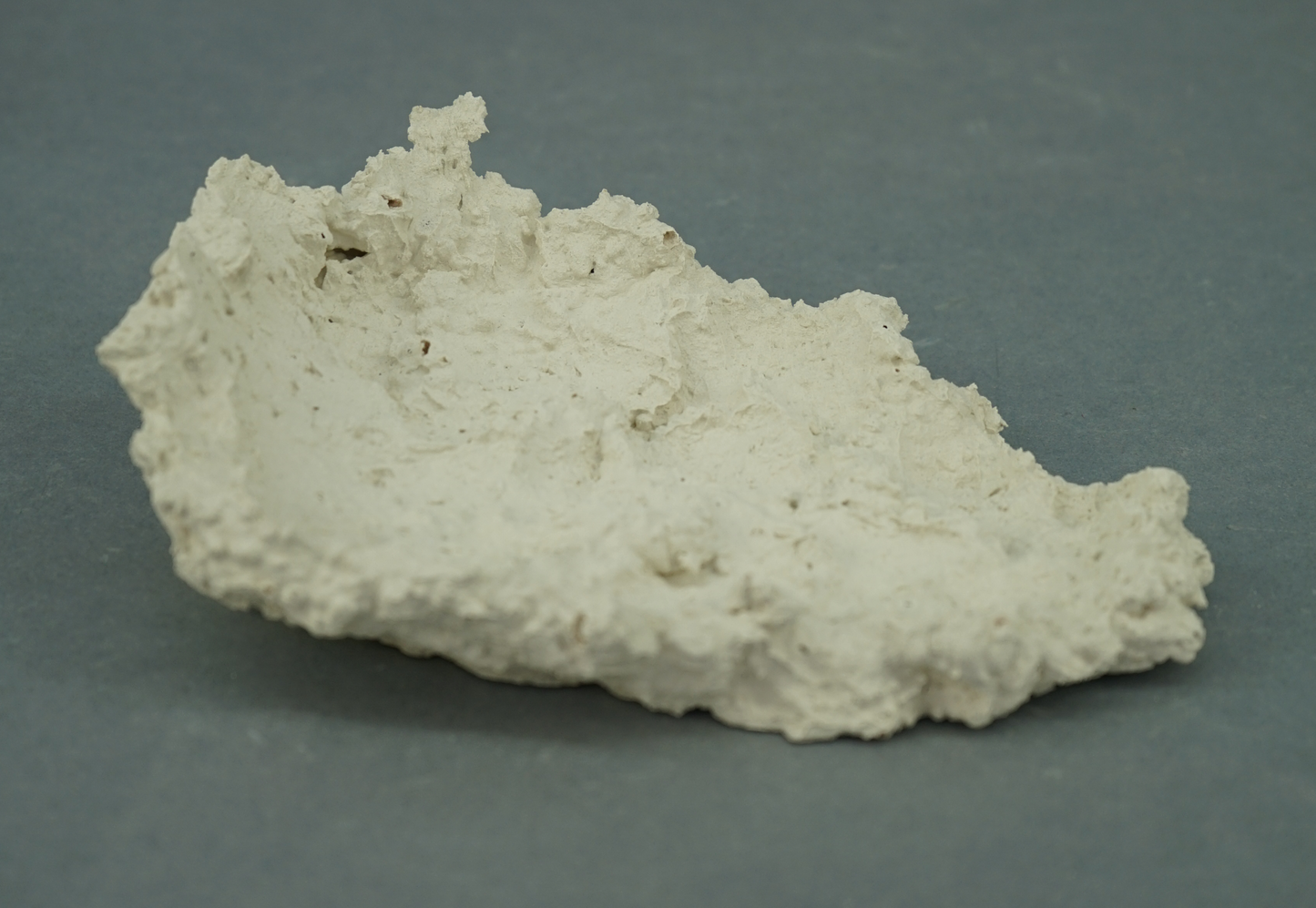 Muschelhalter 10 - 15cm