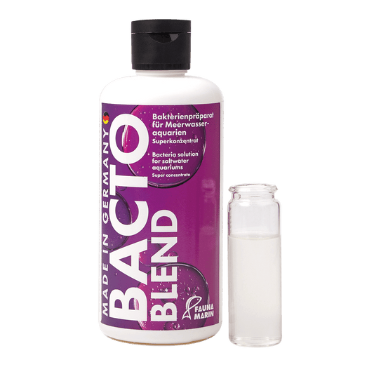 Bacto Blend 500ml All in One Bakterien für Riffaquarien