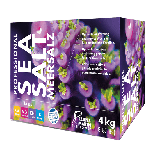 Professional Sea Salt 4kg Box