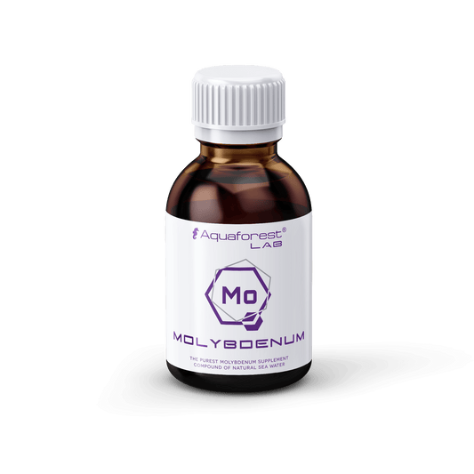 Molybdenum Lab 200ml