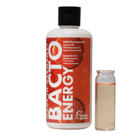 Bacto Energy 250ml  Start und Bakteriennährlösung