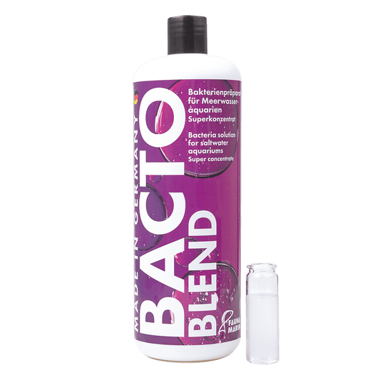 Bacto Blend 1000ml All in One Bakterien für Riffaquarien