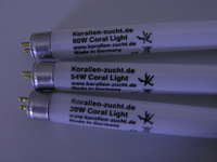 Coral Light Fiji Purple 54 W