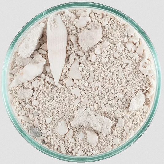 Lifesand Ocean Direct 5 pound  2,27 kg