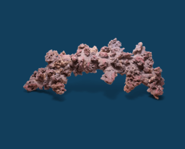 Life Rock Arch 9,07 kg