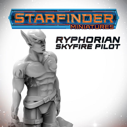 Masters of the Universe Miniatures: RYPHORIAN SKYFIRE PILOT