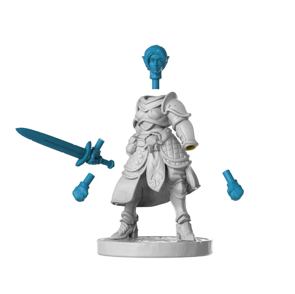 Heavy armor female - PremiumHobby