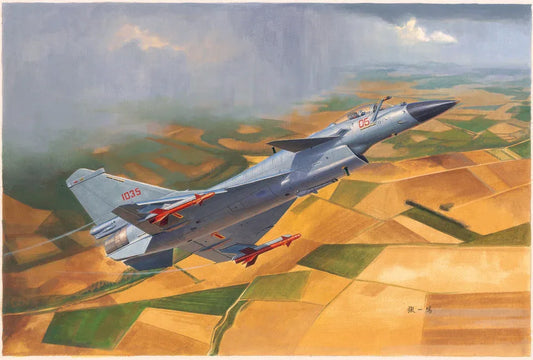 Chinese J-10B Fighter