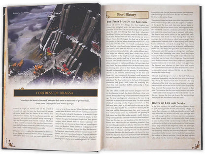 Dungeons & Lasers THE WORLD OF DEUSLAIR: RPG CAMPAIGN (hardcover) - PremiumHobby