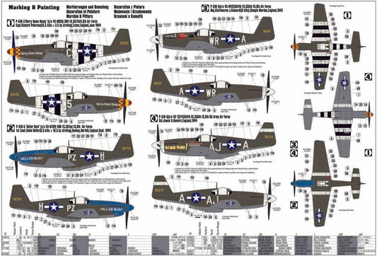 P-51 B-5 Hurry Home Honey