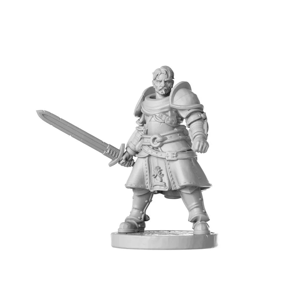Heavy armor male - PremiumHobby