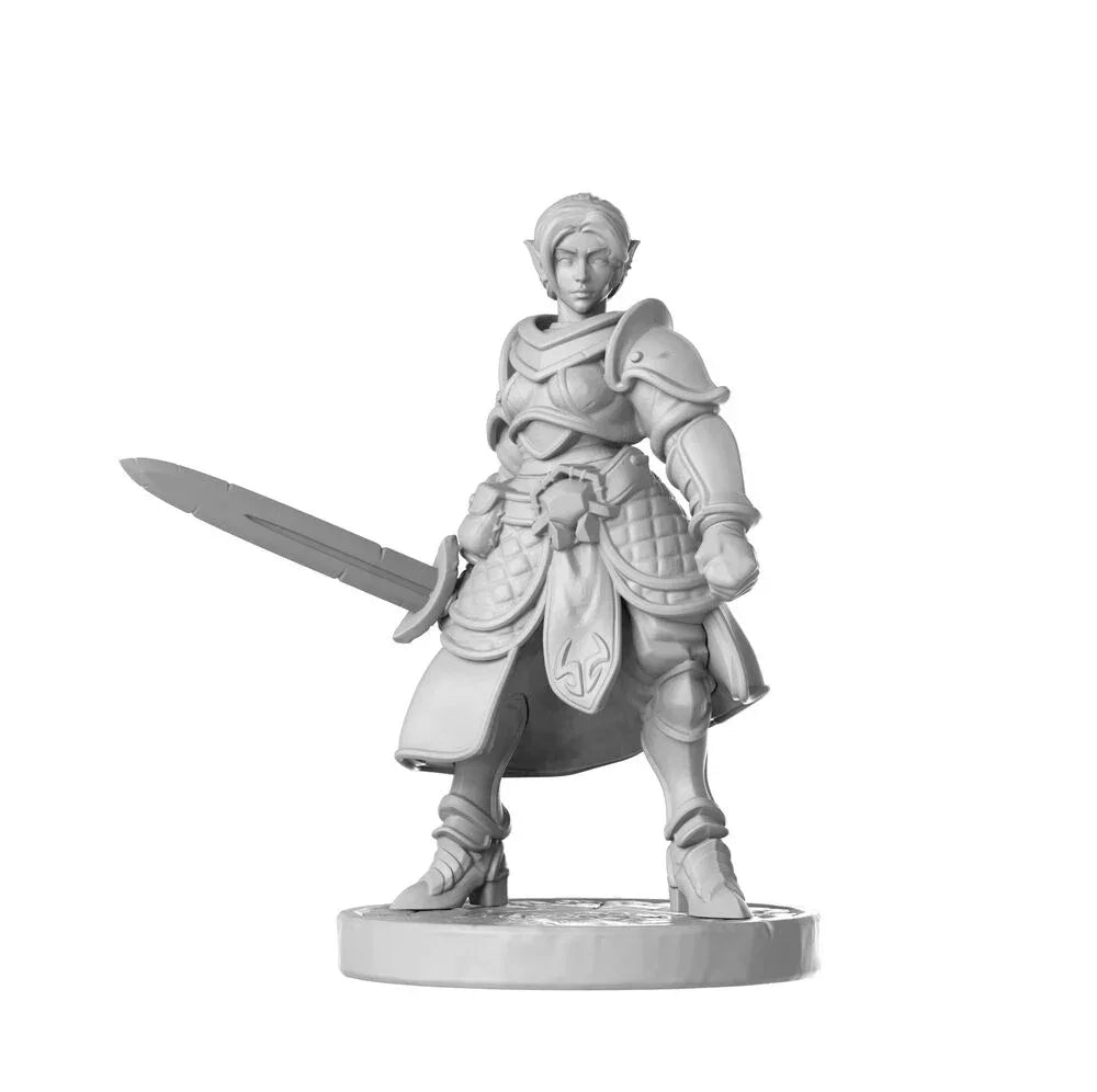 Heavy armor female - PremiumHobby