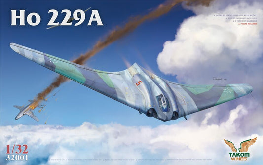 Ho 229A