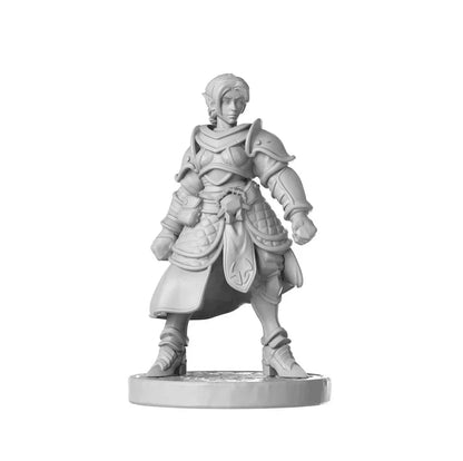 Heavy armor female - PremiumHobby