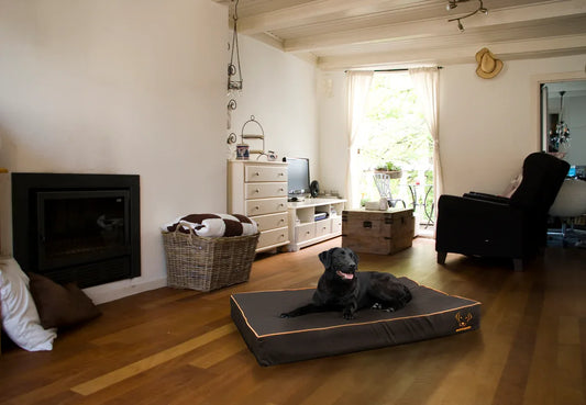 Bodyguard Royal Bed S Brown