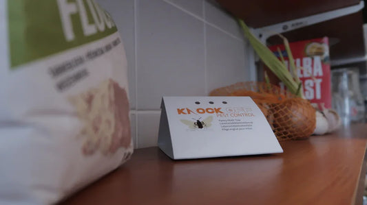 Knock Pest Lebensmittelmottenfalle Delta