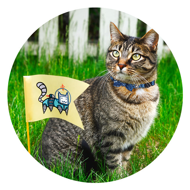 Cat collar mit Bowknot rot