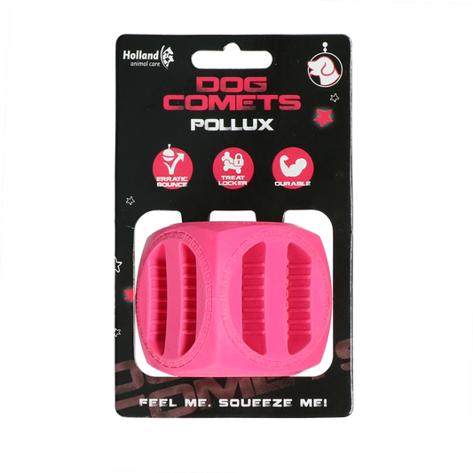 Dog Comets Pollux Rosa