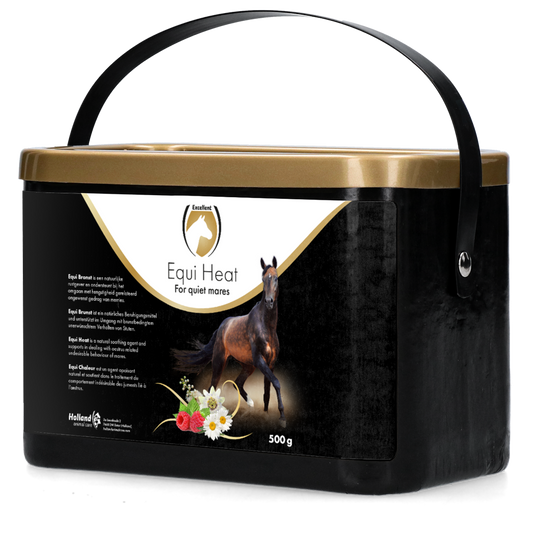 Equi Bronst (Heat)