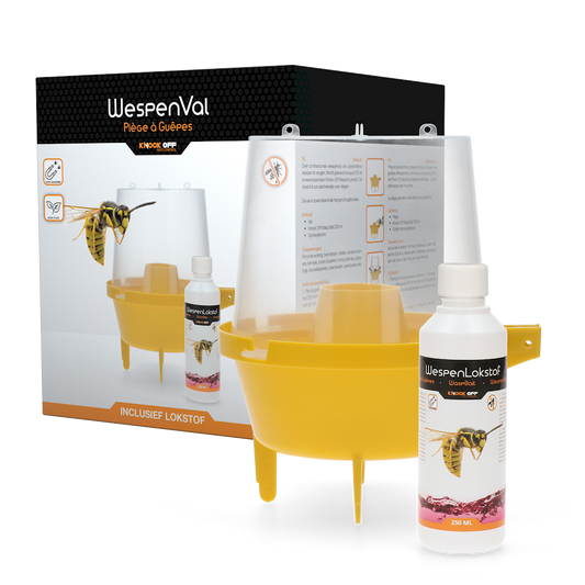 Knock Pest Wespenfalle