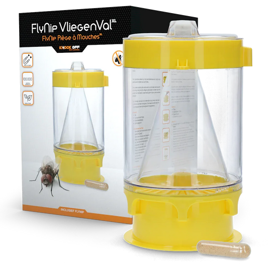 Knock Pest Fliegenfalle XL