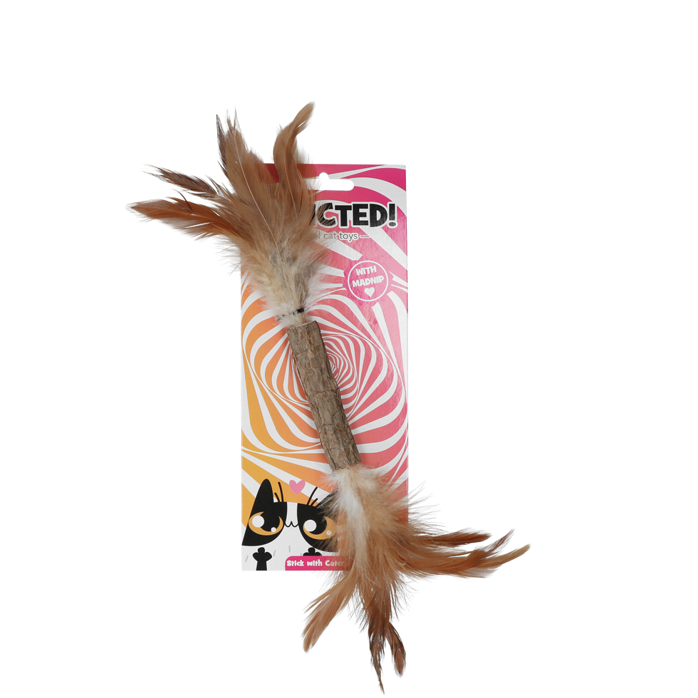 Addicted Stick with caterpillar and feathers