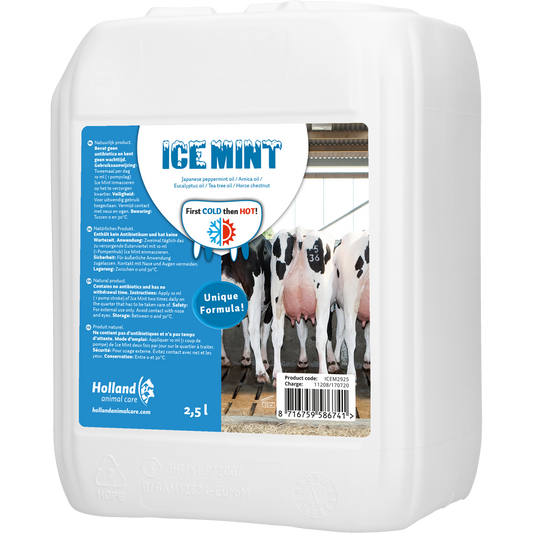 Ice Mint mit Dosierpumpe