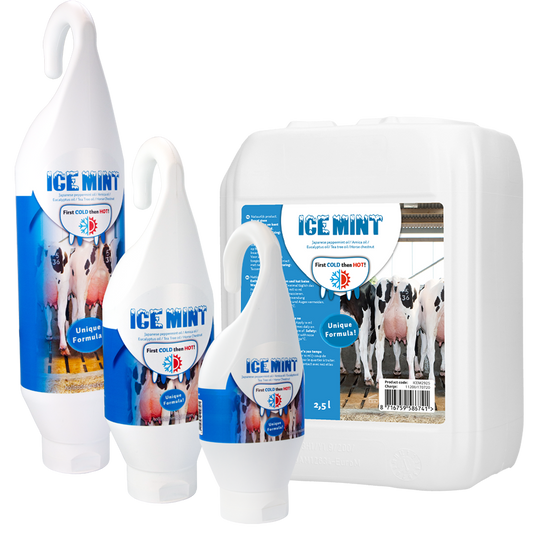 Ice Mint Gel Steh- u. Hängeflasche