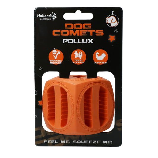 Dog Comets Pollux Orange