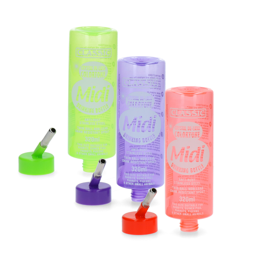 Trinkeflasche Colortone Midi 320 ml