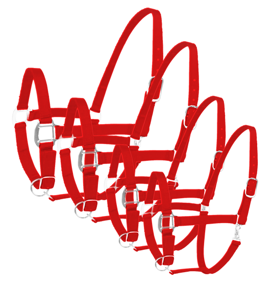 Halfter Excellent rot Pony