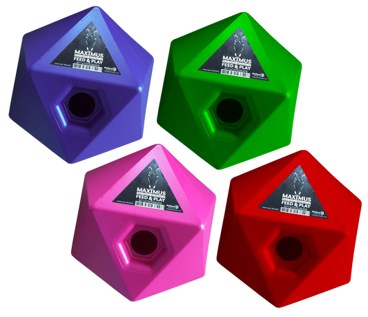 Maximus Feed &amp; Play Rosa