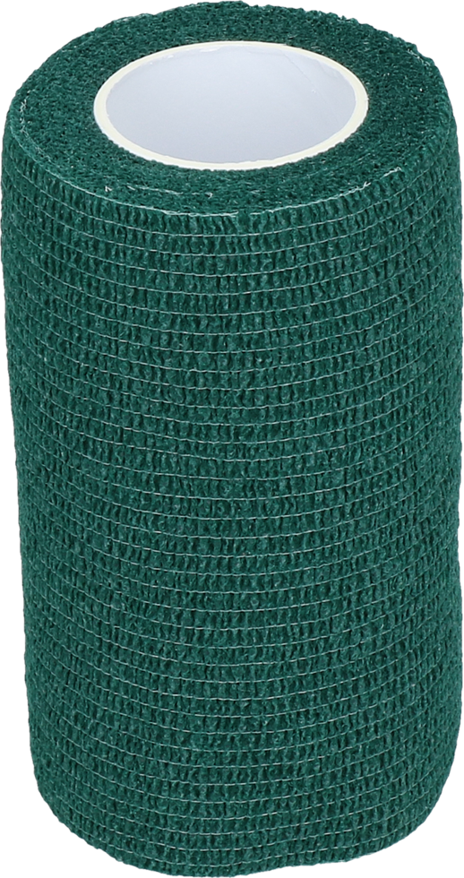 Bandage Animal Grün Profi Plus 10 cm