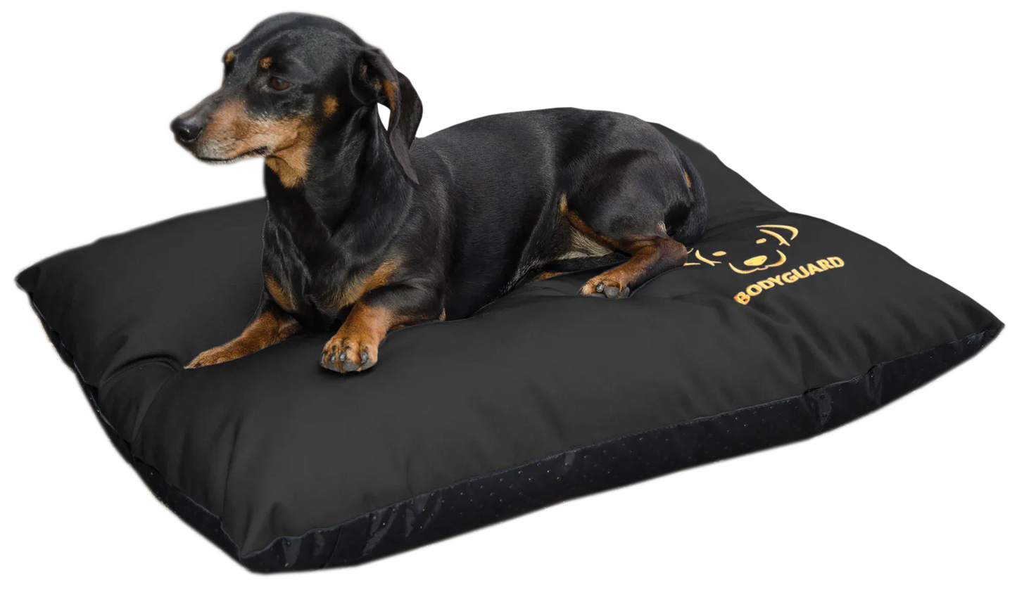Bodyguard Elegant Pillow S Black - PremiumHobby