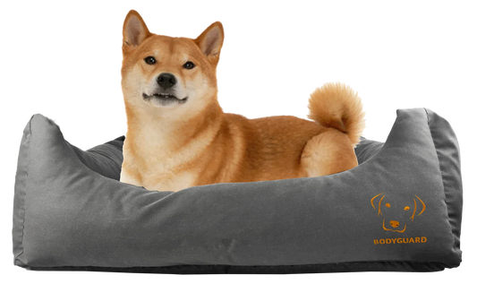 Bodyguard Sofa Bed M Grey