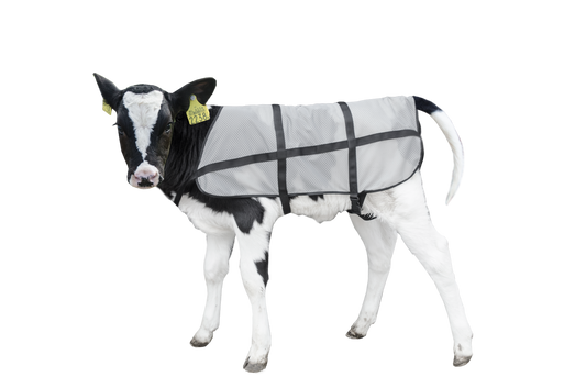 Bodyguard Sommer Kälberdecke