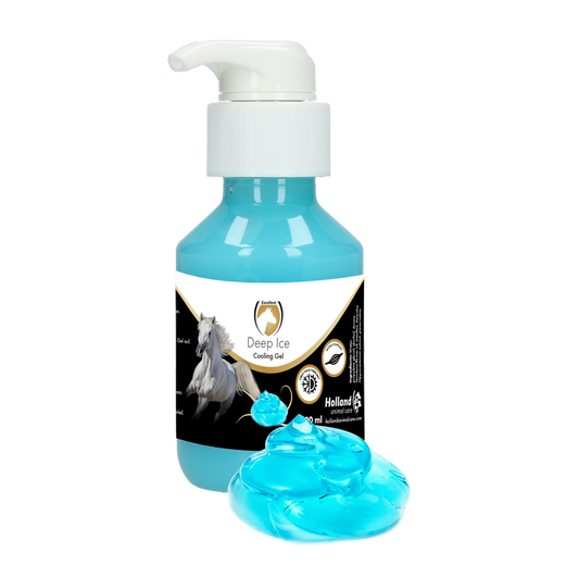 Deep Ice Gel mit Pumpe