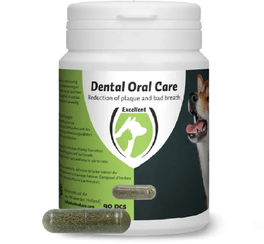 Dental Oral Care Hund