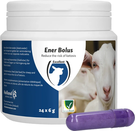 Ener Bolus Schaf &amp; Ziege