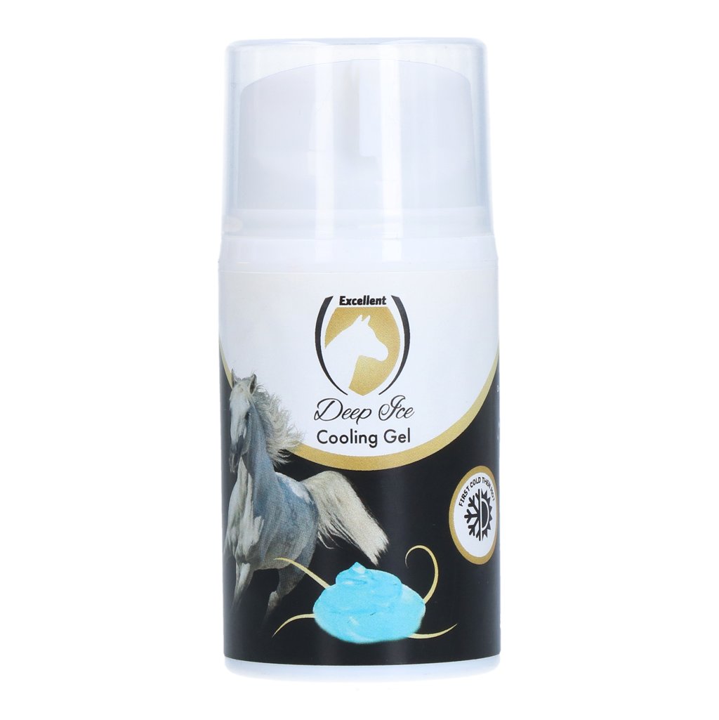 Deep Ice Gel Easy Pumpe