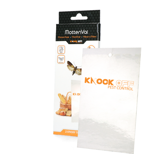 Knock Pest Lebensmittelmottenfalle Flach