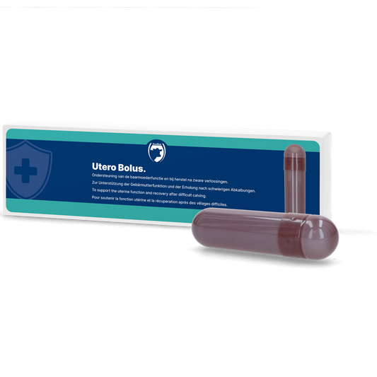 Utero Bolus (Nachgeburt)