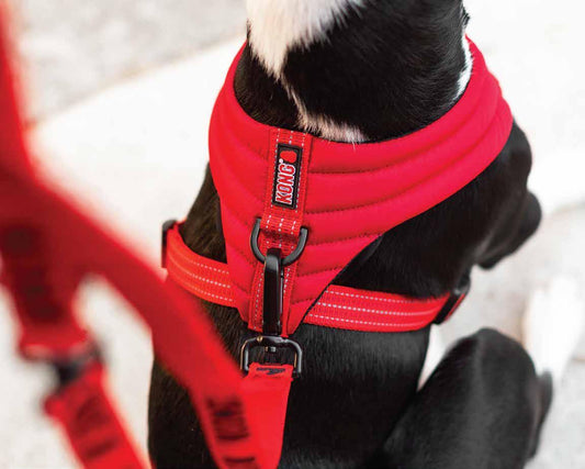 KONG Comfort harness  M Red