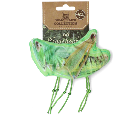 Wild Life Cat Heuschrecke