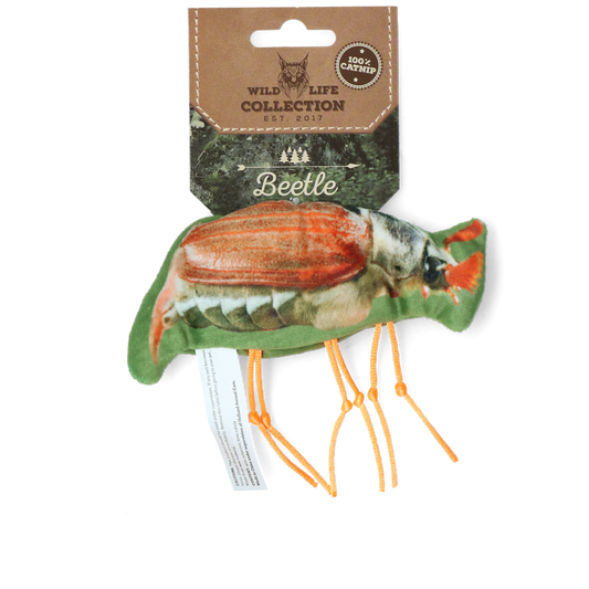 Wild Life Cat Käfer