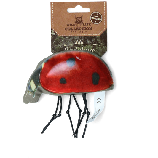 Wild Life Cat Marienkäfer