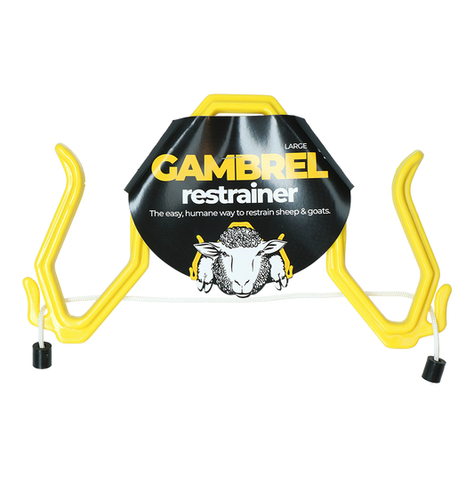 Fixierung für Schafe