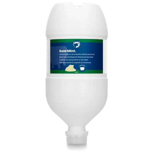 Gold Mint Hängetube