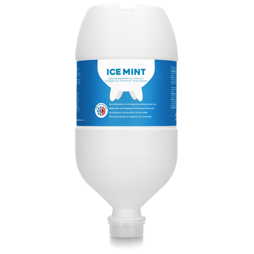 Ice Mint Gel Hängetube