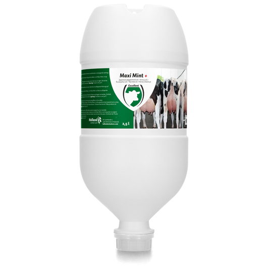 Maxi Mint Plus Hängetube